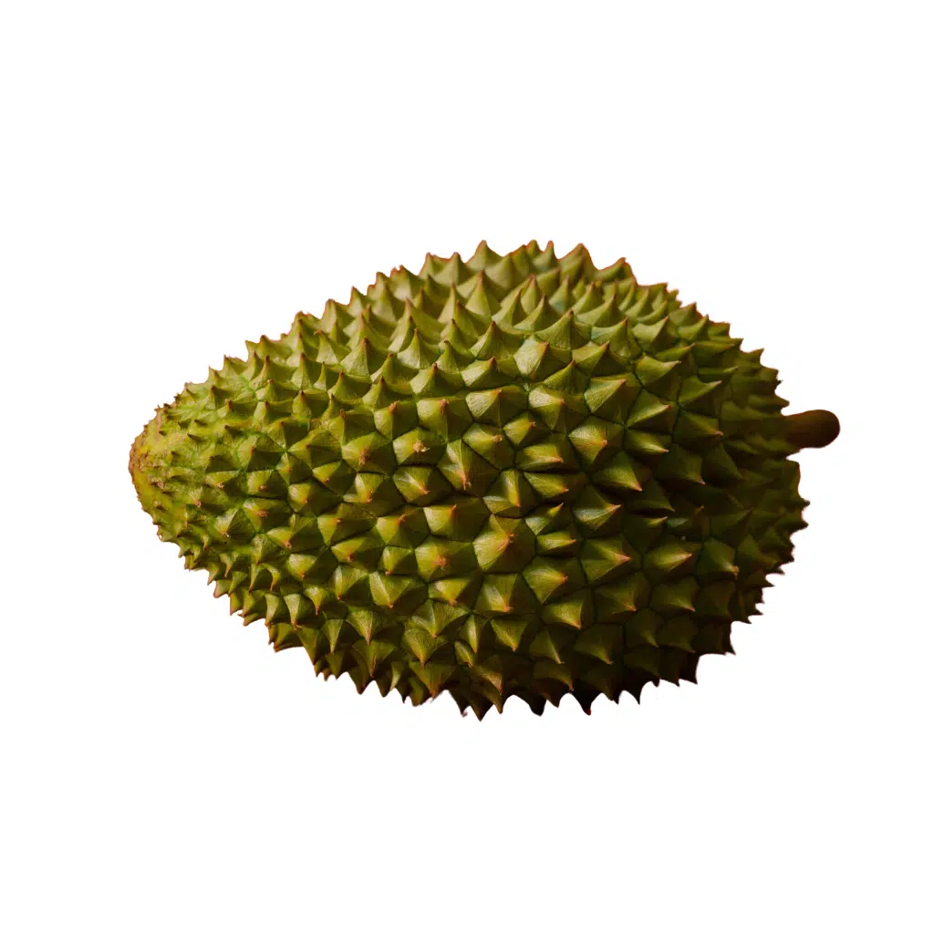 Freeze-dried Durian