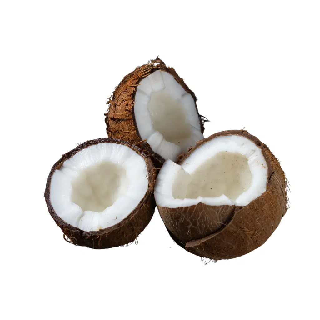 Freeze-dried Coconut
