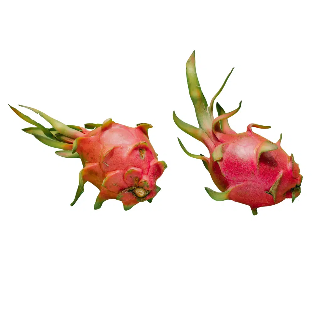 Soft-dried Dragon Fruit