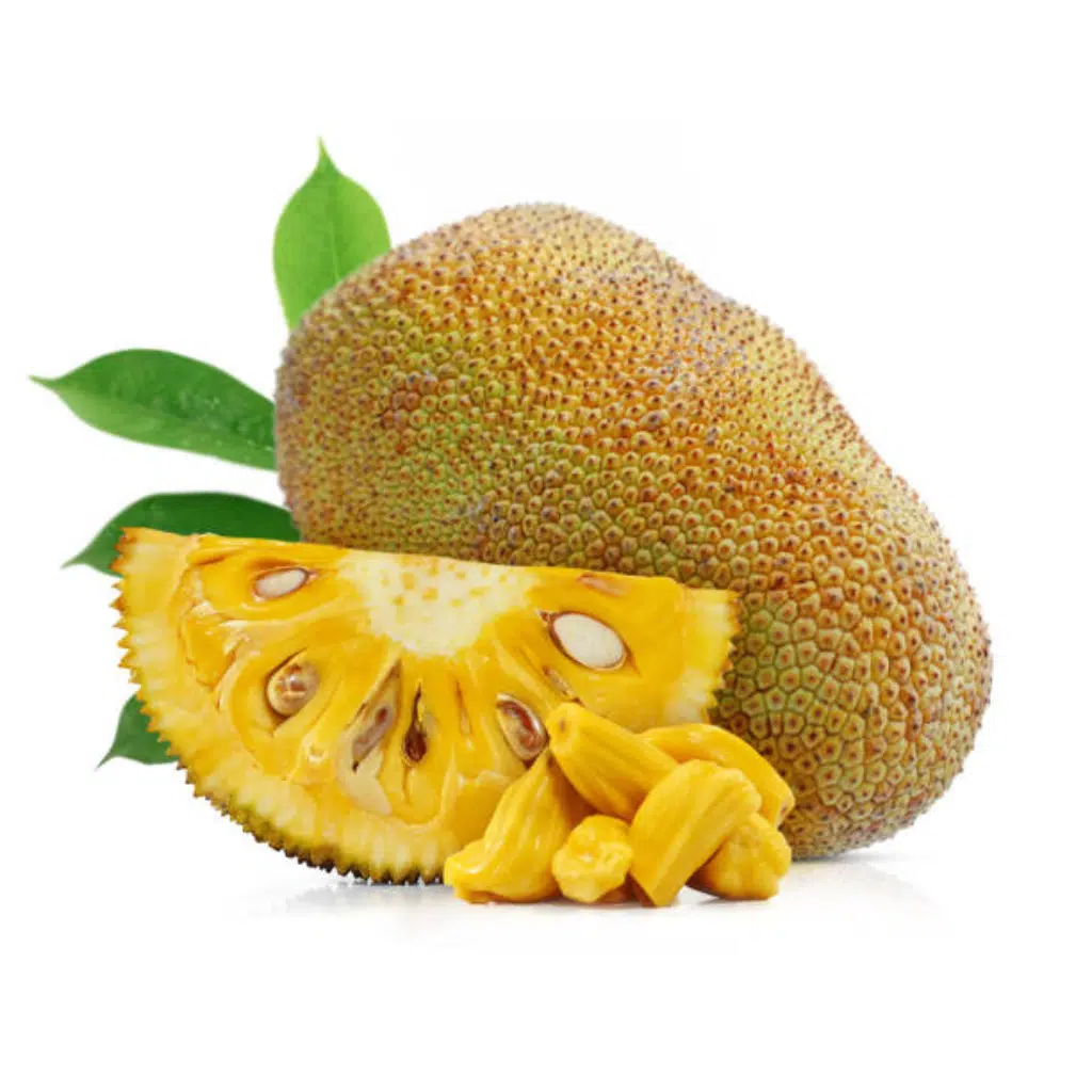 Freeze-dried Jackfruit